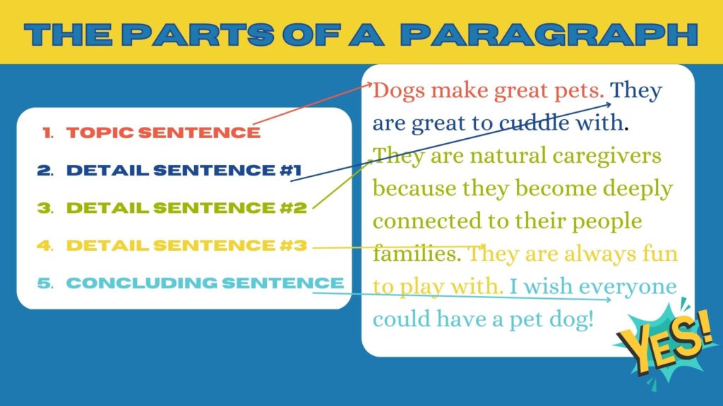 Alt text: An infographic displaying the parts of a paragraph, including topic sentence, details 1-3, and conclusion.